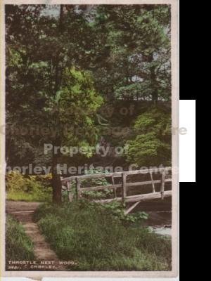 Throstle Nest Wood, Chorley